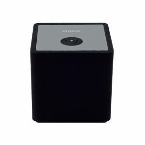 【 13時まで決済為しとげるで当日送りとどける 】アイワ XR-WS100 ストーリミングスピーカー(Bluetooth相応う /Wi-Fi相応う)