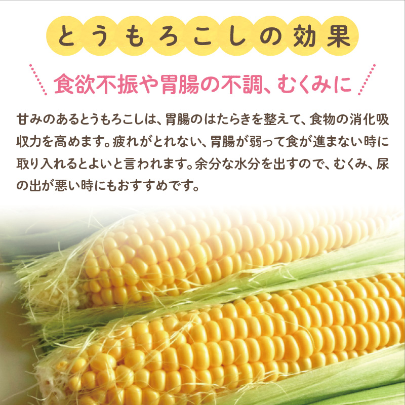 楽天市場 コーン茶 健康茶 送料無料 国産 ノンカフェイン 美肌効果 整腸作用 むくみ改善 よろずや十五夜 楽天市場店