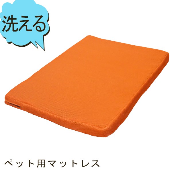 楽天市場】【1000円クーポン25日6時間限定!10名様】マンチキン