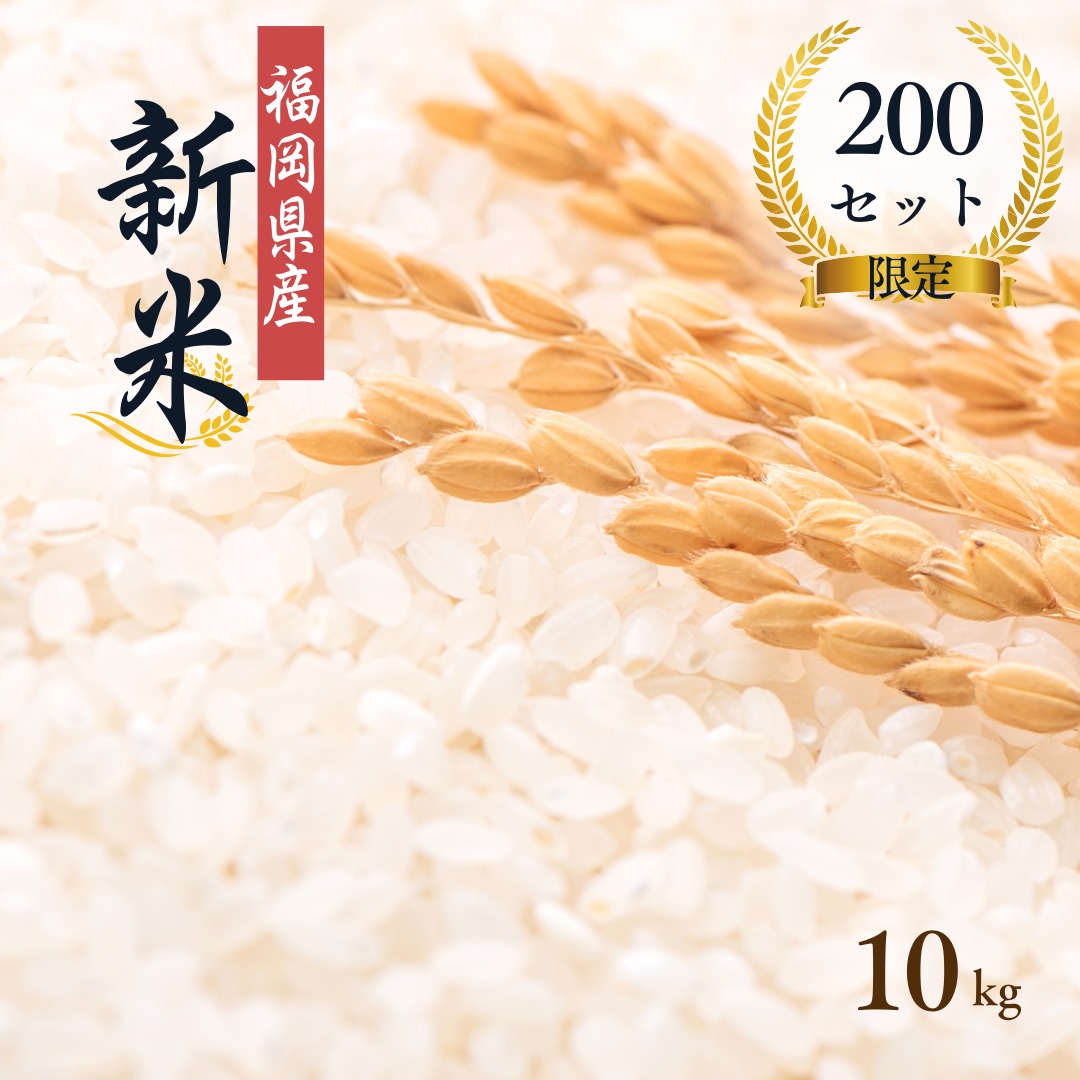 楽天市場】【スーパーセール 30％OFF】【令和6年度産】四万十米