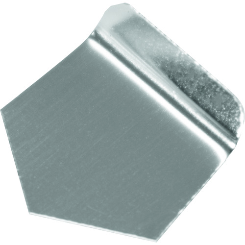 エー・アンド・デイ（A&D）　校正用分銅　ＯＩＭＬ型板状分銅　Ｆ１級　５０ｍｇ　ＡＤ１６０３－５０ＭＦ１　【品番：AD1603-50MF1】