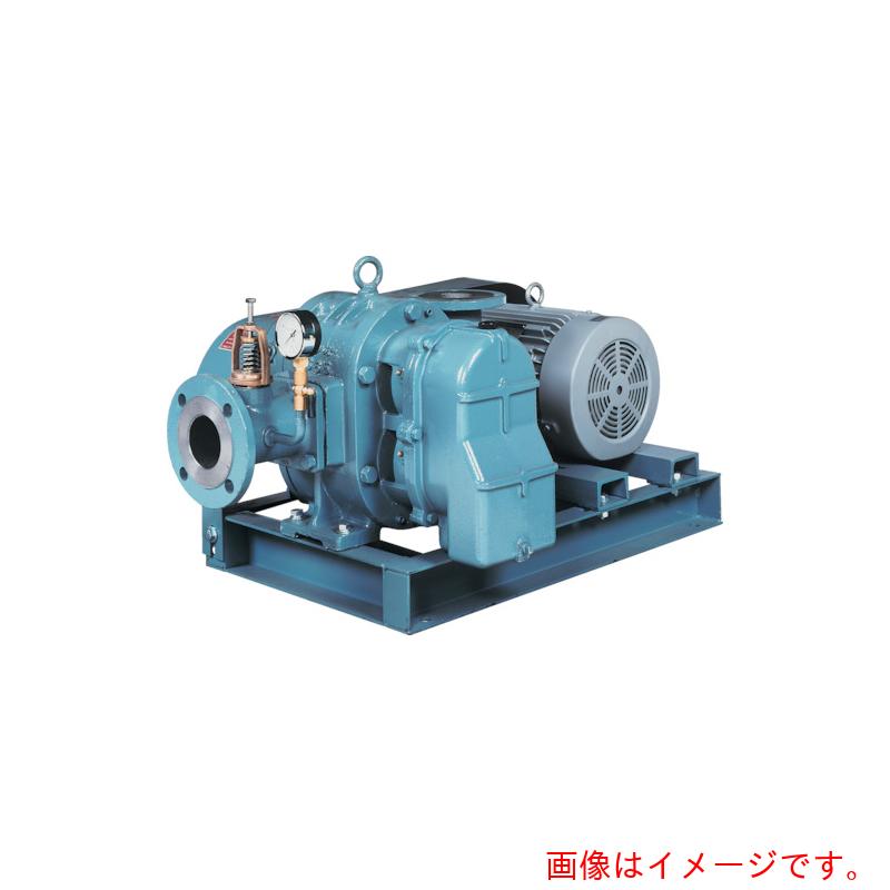 【別途送料あり】アンレット（ANLET）　ルーツ型ブロワーポンプ　モーター無し　【品番：BS40】