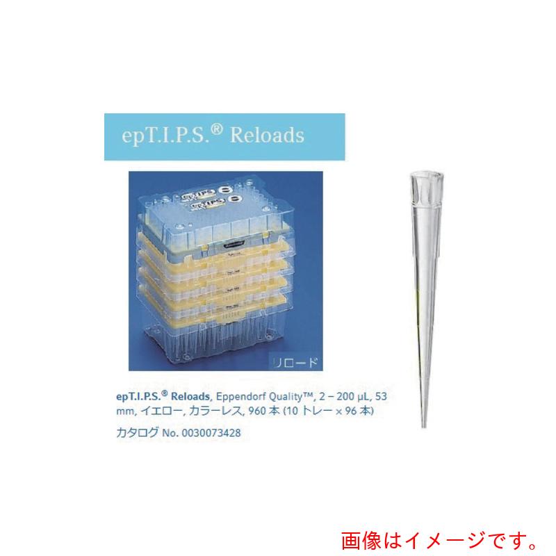 アズワン ＡＳ ｅｐチップリロード００３００７３４３６ 【品番：2-4875-13】 その他-花・ガーデン・DIY
