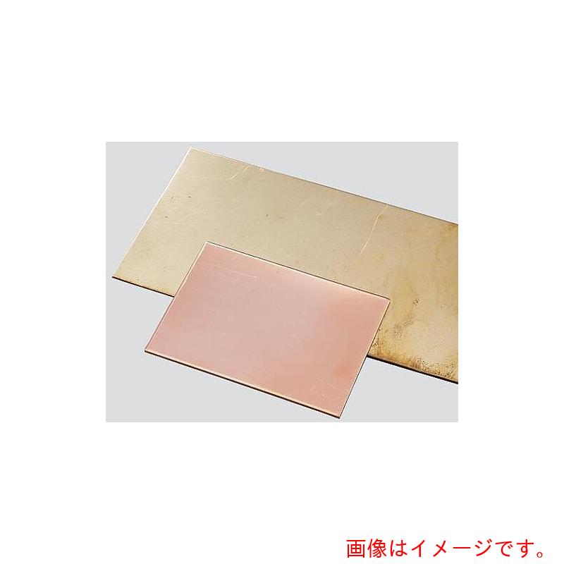 アズワン ＡＳ 金属元素一皿１０枚ＣＵ－□１００－０．９ 【品番：3-3113-14】