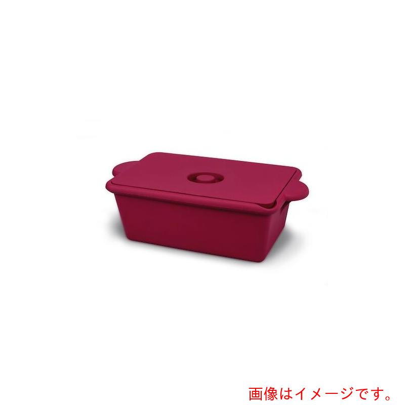アズワン　ＡＳ　アイスバケツ　角型（赤）　【品番：3-8579-04】