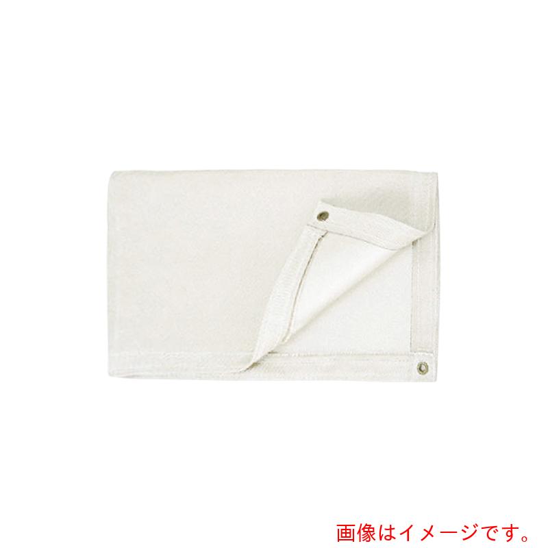 アズワン　ＡＳ　シリカクロス　ＰＳ－６００－ＴＯ－２　【品番：1-2653-22】