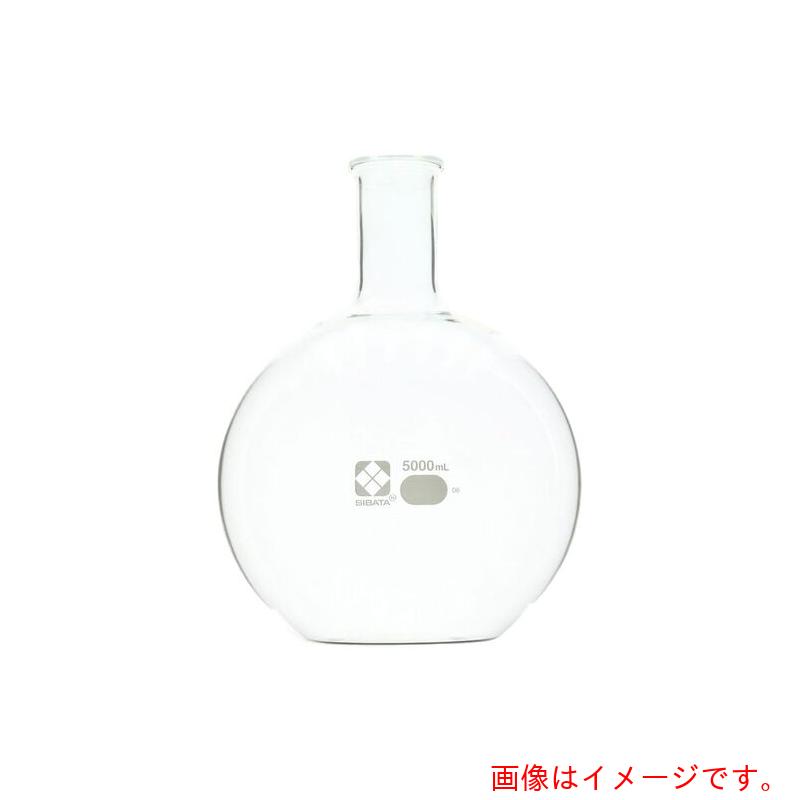 アズワン　ＡＳ　０１０５１０－５０００　平底フラスコ　【品番：4-2827-06】