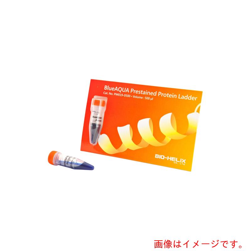 【別途送料あり】アズワン　ＡＳ　【保存の際は要冷凍】着色済みタンパク質ラダーマーカー　ＰＭ０　【品番：4-4328-04】