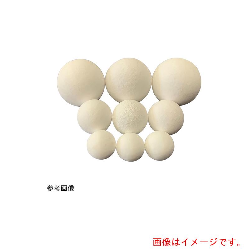 アズワン ＡＳ 蓄熱用酸化アルミニウムどんぶり鉢 Ａ１０Ｔ ２０ｋｇ 【品番：4-4665-01】