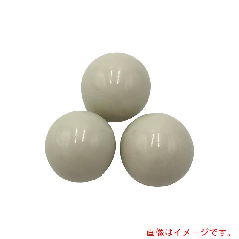 アズワン　ＡＳ　アルミナボールＳＳＡ－９９９Ｗ－１０　【品番：5-4058-02】