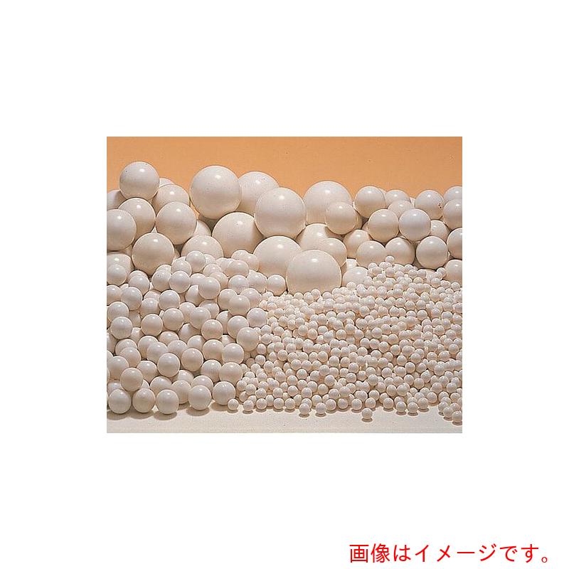 アズワン　ＡＳ　アルミナボールＳＳＡ－９９９Ｗ－２５　【品番：5-4058-05】