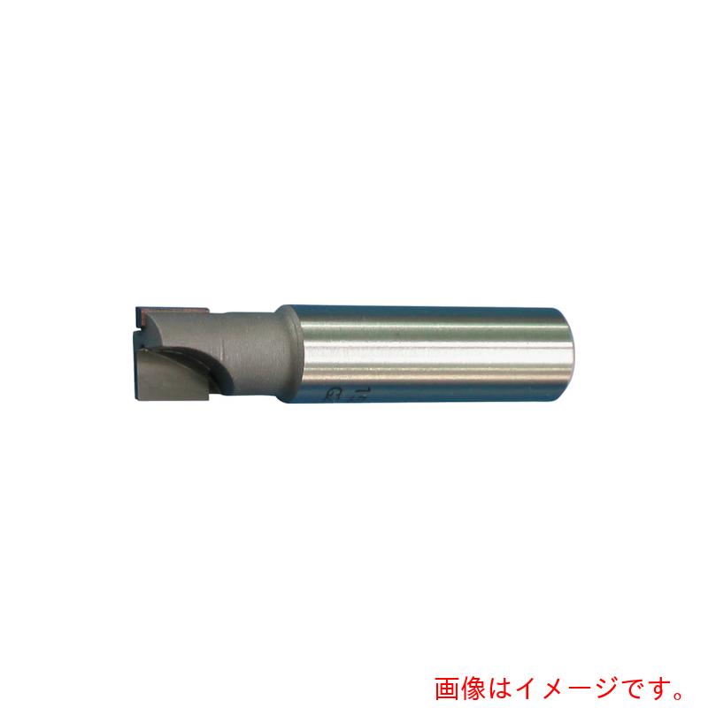 アサヒ物の具製造所 スロッチングエンドミル 【品番：SLE2460K】 その他-花・ガーデン・DIY
