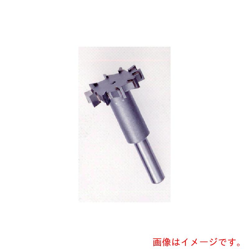 日本の首都オートマック（AUTO MACH） ビッグボーンカッターＢ２５５１０大工仕事・軽銀・可塑性物質専用 【品番：B25510】