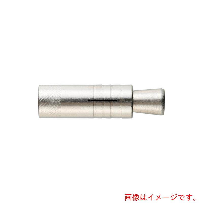 エイ・ワイ・ファスナー　プラグアンカー　ＳＰＡ－３０Ｓ（３５）　ステンレス　【150個】　【品番：SPA-30S】