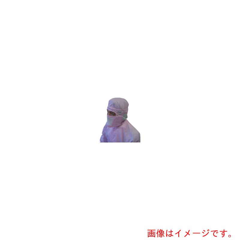 ブラストン（BLASTON） 恍ける サクラ色 ビッグ （１０枚入） 【品番：BSC-30001-P-B】
