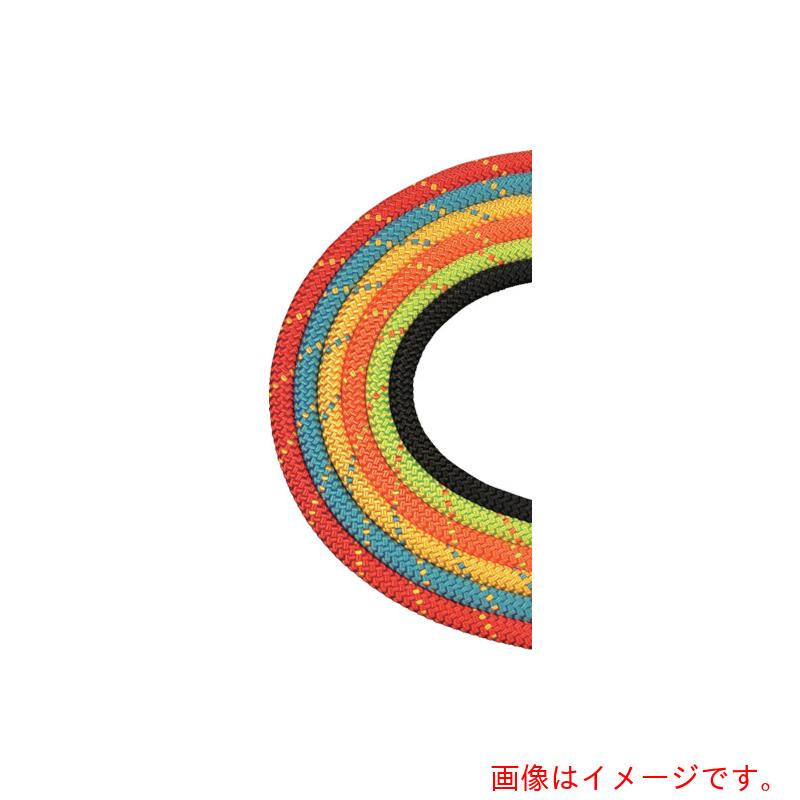 BlueWater Ropes　セイフライン　９．５φ×９１ｍ　青／黄　【品番：534630BLYE】