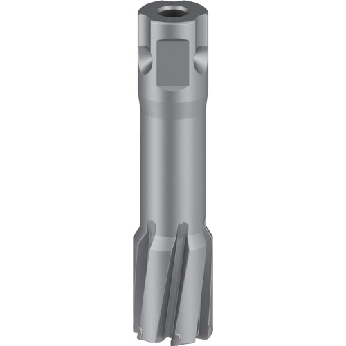 ボッシュ 磁気ボール盤用超硬切断機 ２２×５０粍 【品番：2608577499】