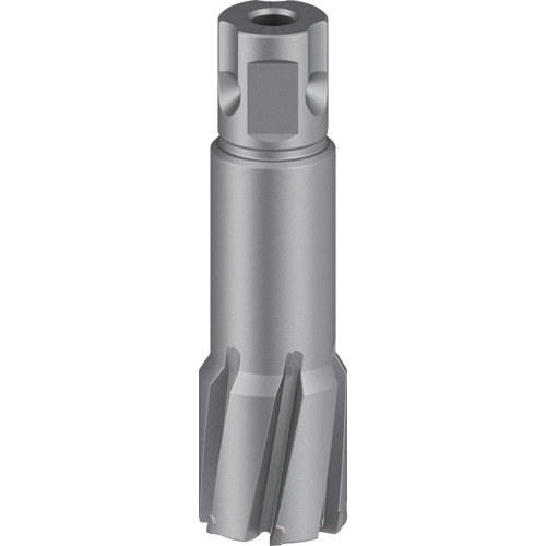 ボッシュ 磁気ボール盤用超硬切断機 ２６×５０粍 【品番：2608577501】
