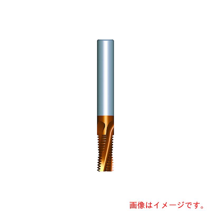Carmex ＮＯＧＡ 超硬ソリッドミルスレッドＩＳＯ 呼び大きさＭ３ 投球０．５０粍 【品番：06022C5 0.5ISO MT-7】