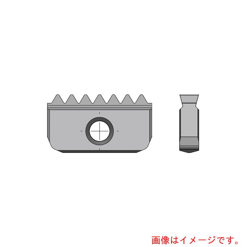 Carmex　ＮＯＧＡ　ミルスレッドＮＰＳＭ外径ねじ切りチップ４０ｍｍｘ８山　ＭＴ７　【2個】　【品番：40E8NPSM】