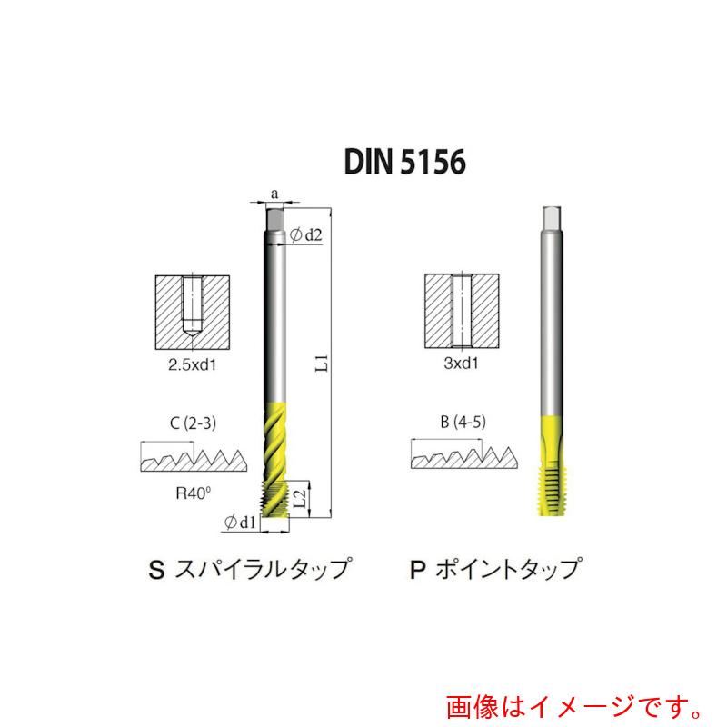 Carmex　ＮＯＧＡ　ＤＩＮ－５１５６　一般用ポイントタップＧ１－１１　ＸＴ５　【3個】　【品番：PD5156BG15XT】