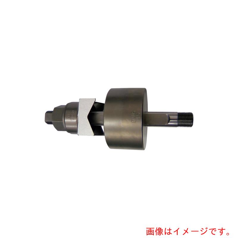 【別途貨物輸送あり】サボテン（CACTUS） 角型殴り付ける裁断師４０×４０ 【品番：パソコン-K40】