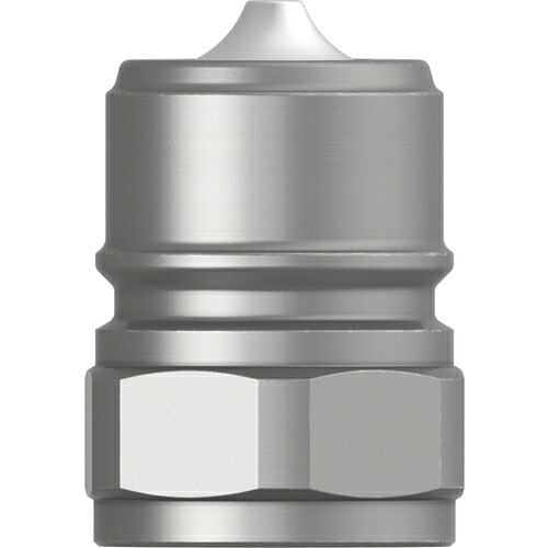 セインジャパン（CEJN）　シリーズ５２５　ニップル　呼径２０ｍｍ　Ｇ３／４メネジ　ＦＰＭシール　【10個】　【品番：10-525-6217】