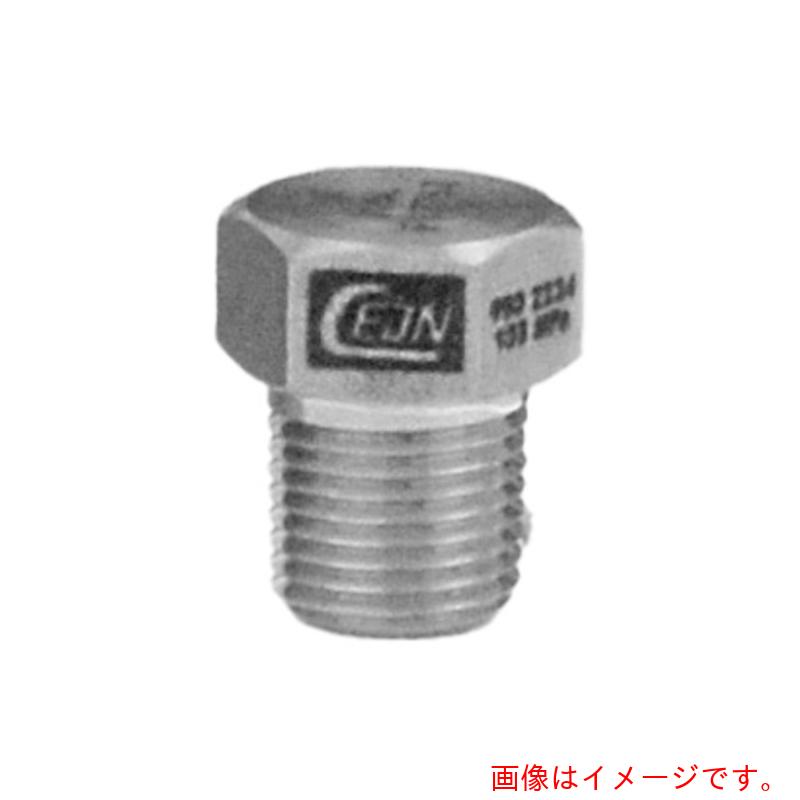 セインジャパン（CEJN） ステンレス鋼・低圧 アダプタ ＮＰＴメネジｘＮＰＴオネジ  ３／４ ＮＰＴ×３／４ ＮＰＴ 【品番：19-950-2236】