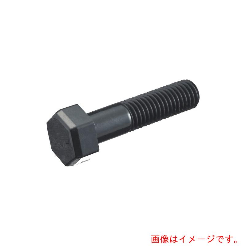 日本ケミカルスクリュー ＫＹＯＵＪＩＮ六角ボルト Ｍ１２－１２０用 ５０本入り 【品番：KJPA/BT M12-120(S\u003d40)】