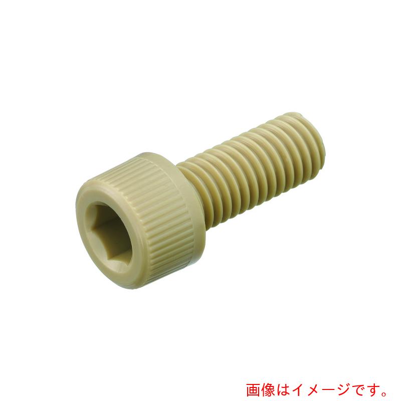 日本ケミカルスクリュー　ポリエーテルエーテルケトン　六角穴付ボルト　Ｍ６－１２　（１００本入）　【品番：PEEK/CB M6-12】