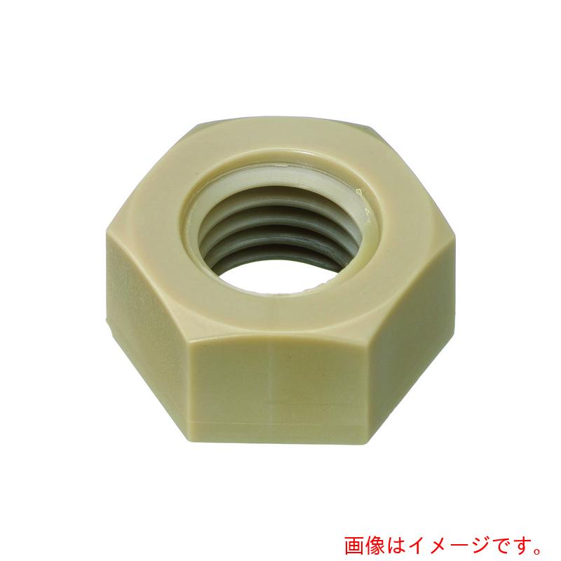 日本ケミカル螺子釘 ポリエーテルエーテルケトン 六角中毒者 Ｍ６ （１００個入） 【品番：PEEK/NT M6】
