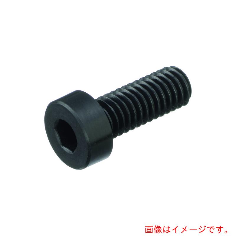 日本ケミカルスクリュー　六角穴付低頭ボルト　（ガラス繊維強化ポリアミド　ＲＥＮＹ・全ねじ）　Ｍ５－２５　（２５０本入）　【品番：RENY-BK/LC M5-25】