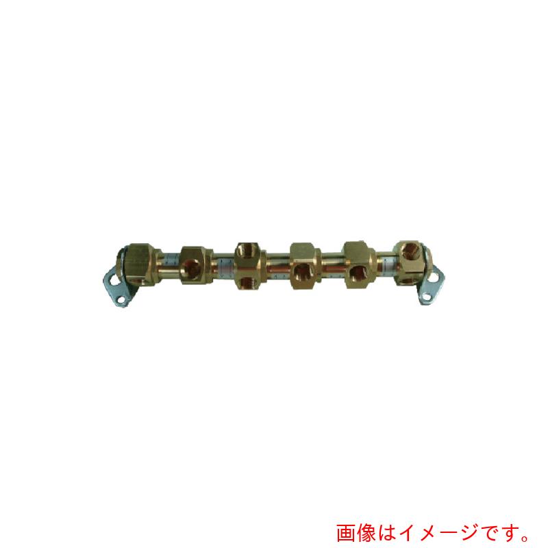 千代田取り引き ヘッダーブロックＣＢ ６連 Ｒｃ３／８ 【品番：CB-603】