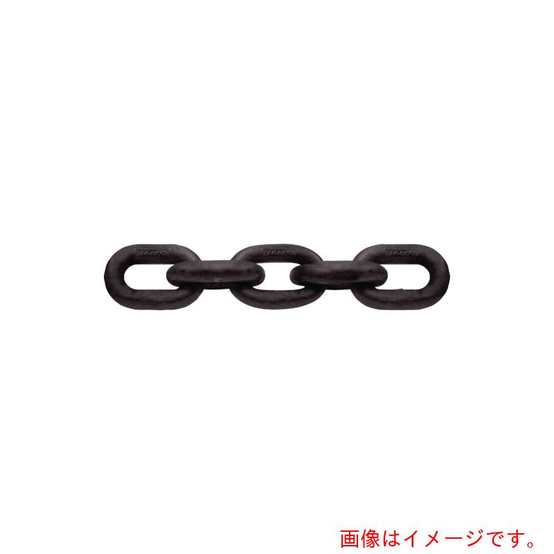 【別途送料あり】CM　チェーン　７／８インチ　３０Ｍ　【品番：CM 7/8】