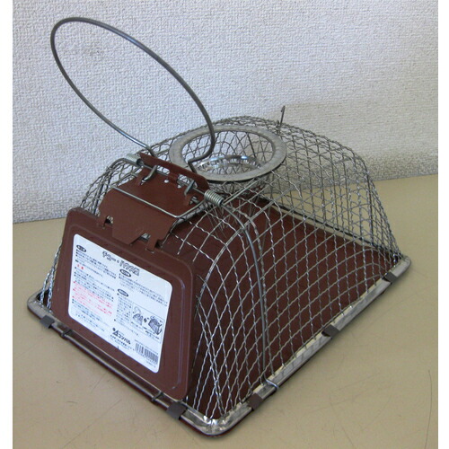 【別途貨物輸送あり】コンパル 取り押さえる器 チュー・ハウス型 【40個】 【品番：022292】