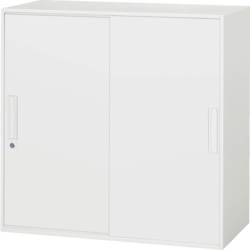 【別途貨物輸送あり】ダイシン実業（DAISHIN） 壁面納める庫 引戸型 上下兼用Ｄ４５０ 白いこと 【品番：V945-09S】