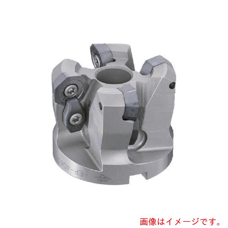ダイジェット工業（DIJET） ヘプタミル 本体 【品番：HEP-3050R-08-22】