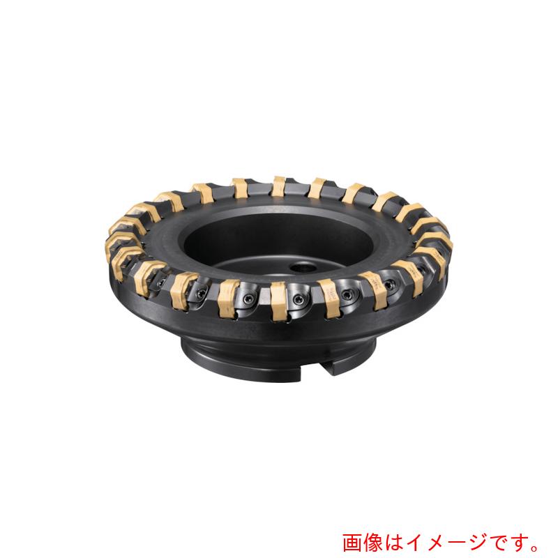 ダイジェット工業（DIJET）　ネガヘプタ　【品番：NHP-10160R-08】