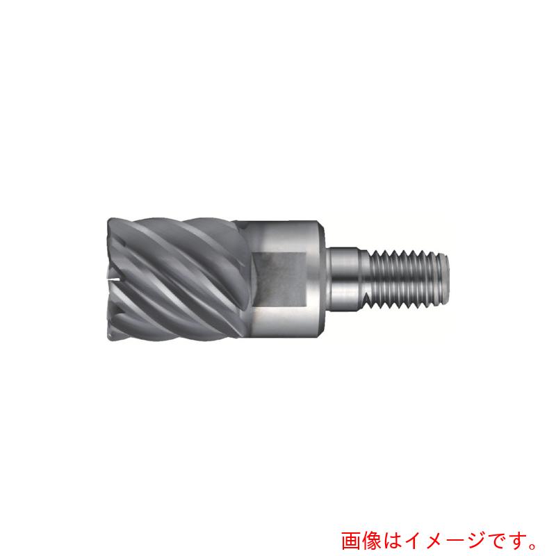 ダイジェット工業（DIJET） Ｓ尖端 【品番：SMSA-8250R10-M12】
