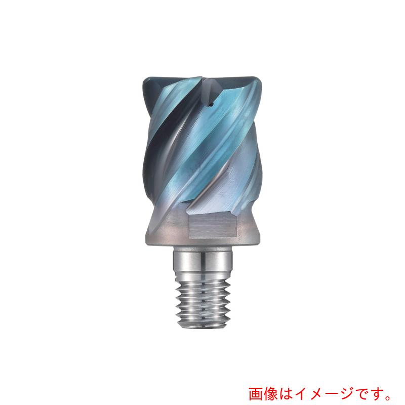 ダイジェット工業（DIJET） 防振Ｓ頭顱 【品番：SMSR-4300R30-M16】 花・ガーデン・DIY-DIY・工具