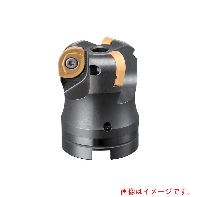 ダイジェット工業（DIJET）　ワイルドラジアス　【品番：WDR-3050R】