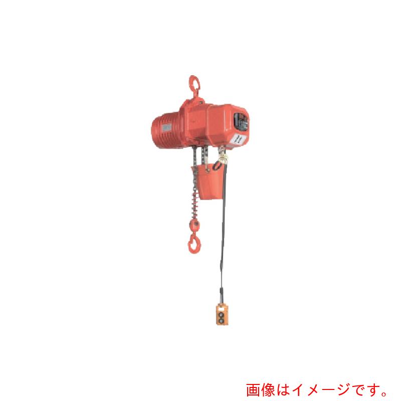 【別途貨物輸送あり】象印チェンブロック ＤＢ型灯し火チェーン店立ちはだかる（２速型）２．５ｔ・４ｍ （ＤＢ－２．５  ４ｍ） 【品番：DB-02540】