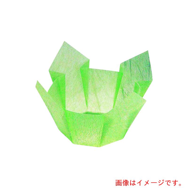 遠藤商事（TKG）　ヤマコー　両面　ＯＰ珍味入れ　小（２００枚入）　６６３９６　若草雲竜　【品番：QTV3805】