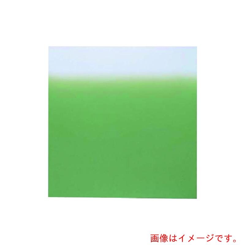 遠藤商事（TKG） 風呂敷ナイロンデシン ２４巾（１０枚入） ボカシ 利久 【品番：RHL6301】