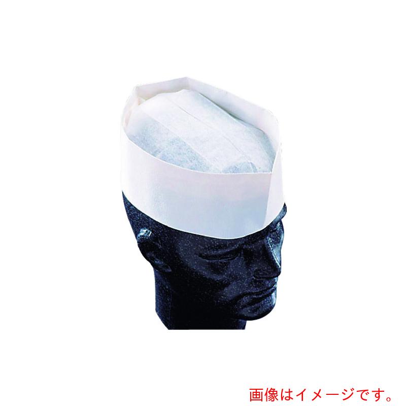 遠藤商事（TKG） 茶飲み友だち フォレージュハット 無地 Ａ９５０００ （１００枚入） 【品番：SHT24】