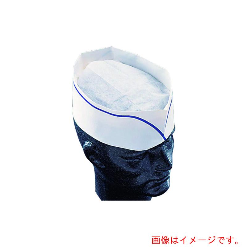 遠藤商事（TKG） 茶飲み友だち フォレージュハット 青碧伝達ルート Ａ９５００８ （１００枚入） 【品番：SHT27】