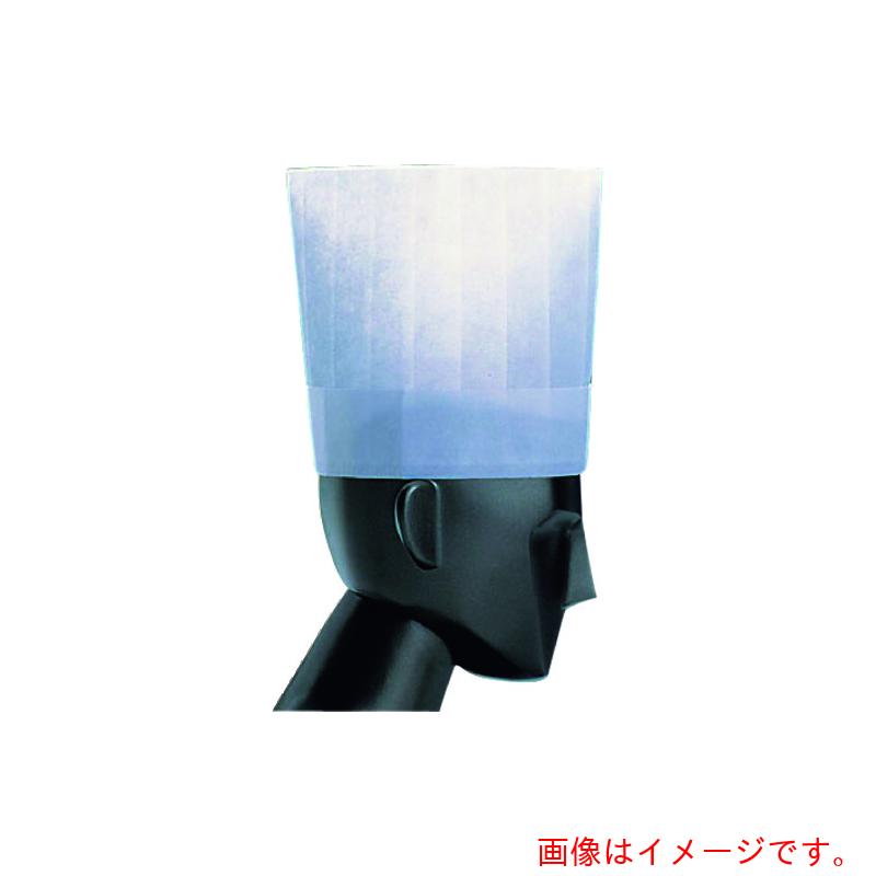 遠藤商事（TKG） 茶飲み友だち パリス ノン筋目 料理人かぶり笠 Ｎ３９１１０（５０枚入） 【品番：SHT38】