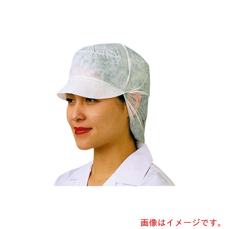 遠藤商事（TKG） 茶飲み友だち スヌードキャップ Ｄ８９１１０ （１００枚入） 【品番：SKY2901】