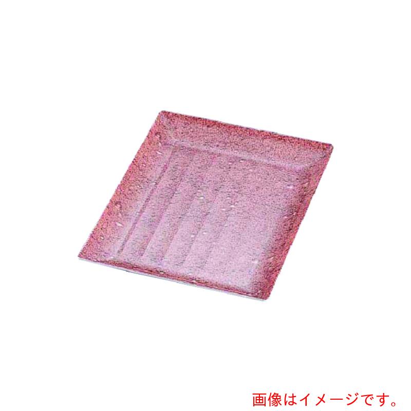 遠藤商事（TKG） ニシキ プラ入れもの デリカ一皿 志野 大（１０枚入） 【品番：XNS1501】