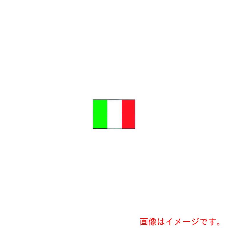 遠藤商事(TKG) 上西産業 エクスラン万国旗 70×105cm イタリア 【品番:YJN6601】|住設プロ 店